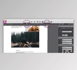 Download CoffeeCup Responsive Bootstrap Builder v2.5 Build 342 + Portable Edition + CRACK